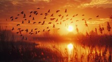 A Flock Of Birds Flies Over A Lake At Sunset.