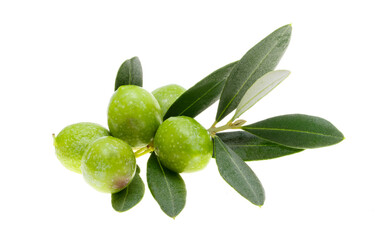 Wall Mural - sprig with green olives isolated