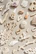 Trend pattern from closeup seashells, coral on sandy tones background. Minimal photo at sunlight. Summer vacation concept, beach mood. Nautical design. Top view nature aesthetics vertical still life