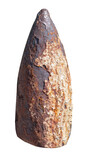 Fototapeta Zwierzęta - Old rusted World War II ammunition shell of artillery