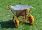 Fototapeta Zwierzęta - Garden metal wheelbarrow on a lawn with grass