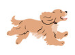 Running dog. Cute cocker spaniel with big ears. Funny domestic puppy. Flat vector illustration isolated on white background
