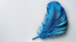 A soft blue feather with fluffy plumes rests isolated on a white background