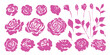 Set of hand drawn pink rose. Grunge rough contour, texture. Leaves, flowers, buds.