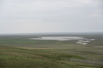 Wall Mural - beautiful landscapes of the blooming Kalmyk steppe on a spring day