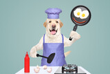 Fototapeta  - Cheerful Labrador in a chef's costume with fried eggs in a frying pan in his hands on a blue background