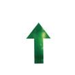 A green arrow pointing upwards displayed on a see through background