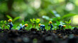 Eco corporate miniature macro photography tilt shift lens green friendly clean energy earth world future environment business emissions safety CSR responsibility friendly carbon neutral