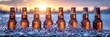 A row of beer bottles on ice, providing refreshing drinks against a sunset backdrop.