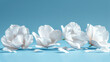   A collection of white flowers adjacent on a blue backdrop, shedding petals