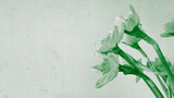 Fototapeta  - Bouquet of spring daffodil  in green colors