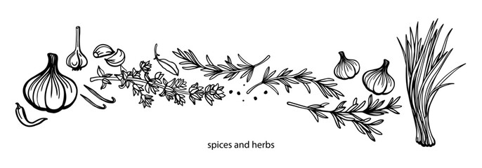 Wall Mural - Hand drawn spices and herbs. Set. Vanilla, cinnamon, garlic, ginger, green onion, basil, rosemary, thyme, pepper,  badian, cloves, chili. Mulled wine. Template.