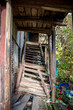 A wooden staircase in an old abandoned house
