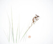 Little mouse sitting on grass stem. Traditional oriental ink painting sumi-e, u-sin, go-hua. Hieroglyph - joy