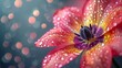   A tight shot of a pink blossom, adorned with dewdrops on its petals, against a softly blurred backdrop