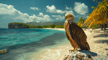 Aruba Eagle Beach Caribbean Tropical