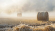 Bales of straw sit in a field covered in morning fog.