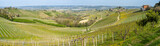 Fototapeta  - Amazing landscape of the vineyards of Langhe in Piemonte in Italy during spring time. The wine route. An Unesco World Heritage. Natural contest. Rows of vineyards