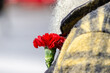 detail of a red carnation on a man's jacket celebrating April 25th in Portugal. Day of freedom, carnation revolution