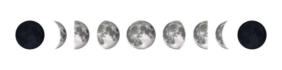 Wall Mural - all phases of moon waning crescent, third quarter, waning gibbous, full moon, waxing gibbous, first 