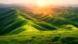   The sun brightly shines over green hills, their expanses covered with lush grass Mountains loom in the distant landscape