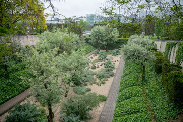 Park Andre Citroen    - amazing May gardening with Japanese (red) maple in distance (usually small trees)  in Mediterranean style