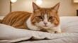 Dans une atmosphère douillette, un charmant chat roux et blanc profite d'un moment de repos sur un lit confortable, sa posture détendue et son regard serein témoignent d'un bien-être absolu.