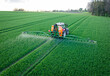 Pflanzenschutz im Ackerbau - roter Traktor mit Feldspritze im jungen Getreidebestand, Luftaufnahme.