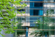 Windows with reflection, glass background with reflections, glass with reflections, abstract background with windows and tree