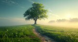 Fototapeta  - a tree in a field with a sky background