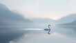 Swan floats calmly on a lake with misty mountains and dawn light. The peaceful presence of a swan on a serene lake with dawn breaking.