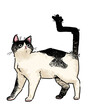 Ilustración de gatos digital