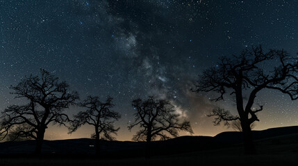 Poster - A starry night sky with the Milky Way