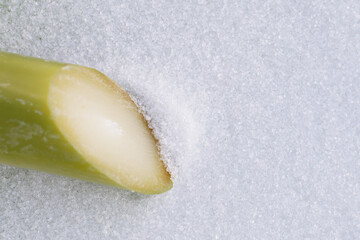 Canvas Print - White sugar with sugar cane