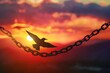 Silhouette of a bird flying towards the sun breaking from a chain at sunset