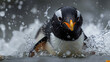 penguin in polar regions 4k wallpaper