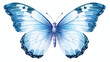 Watercolor Butterflies Clipart 2d flat cartoon vact