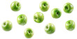 Falling fresh green apples over isolated white transparent background