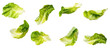 Lettuce leaves floating over isolated white transparent background