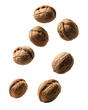 Whole walnuts falling over isolated white transparent background