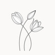 Hand drawn set of tulips branches. Tulip Flower isolated on white background. vector illustration