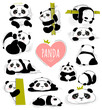 Set of Cute Panda. Adorable doodle stickers with black and white Asian bear. Charming animal icons. Design for print. Cartoon flat vector illustration collection isolated on white background