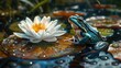 A green frog sits on a lily pad next to a white water lily in a pond.