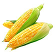 A vibrant image of fresh corn on the cob set against a transparent background