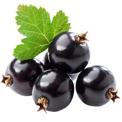 Wall Mural - An isolated black currant with leaf set against a transparent background