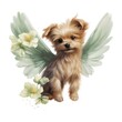 Yorkshire Terrier with wings and flowers isolated on white background.