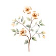 Beautiful hand drawn watercolor branch with flowers. Vector illustration.