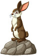 Illustration of a rabbit standing on stones
