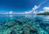Fototapeta Do akwarium - サンゴ礁の海