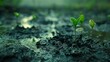Regarding a rainy day during the rainy season, tiny plants are emerging from submerged, muddy earth and space, Generative AI.